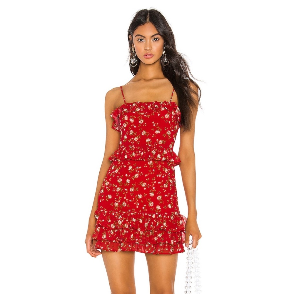 Privacy Please Dakota Mini Dress